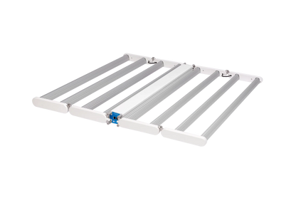 DLI DIODE-Series LED Multilayer 600 FS-DC 208V