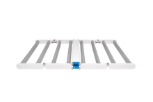 DLI DIODE-Series LED Multilayer 600 FS-DC 208V
