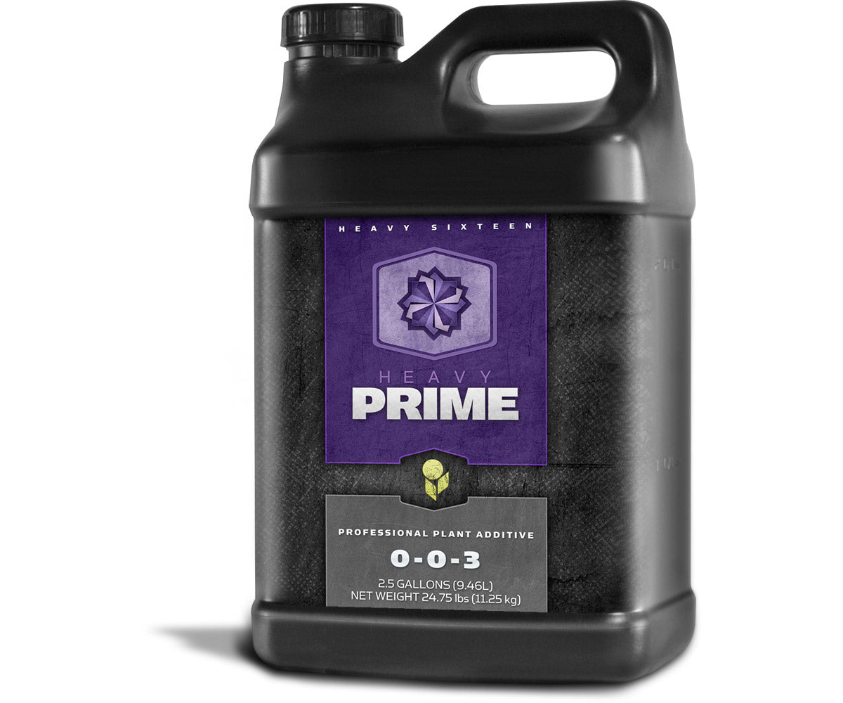 Heavy 16 Prime