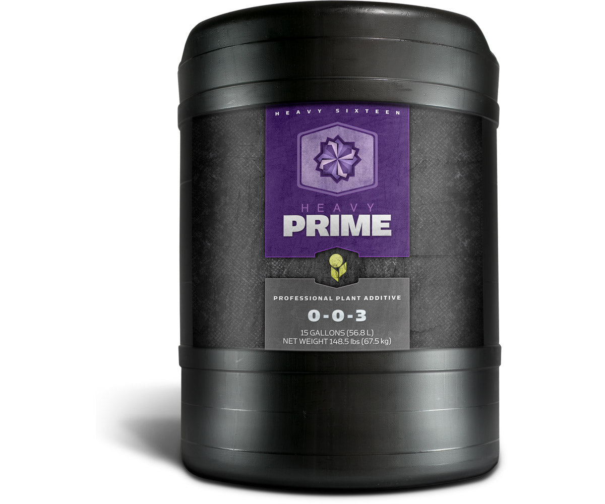 Heavy 16 Prime