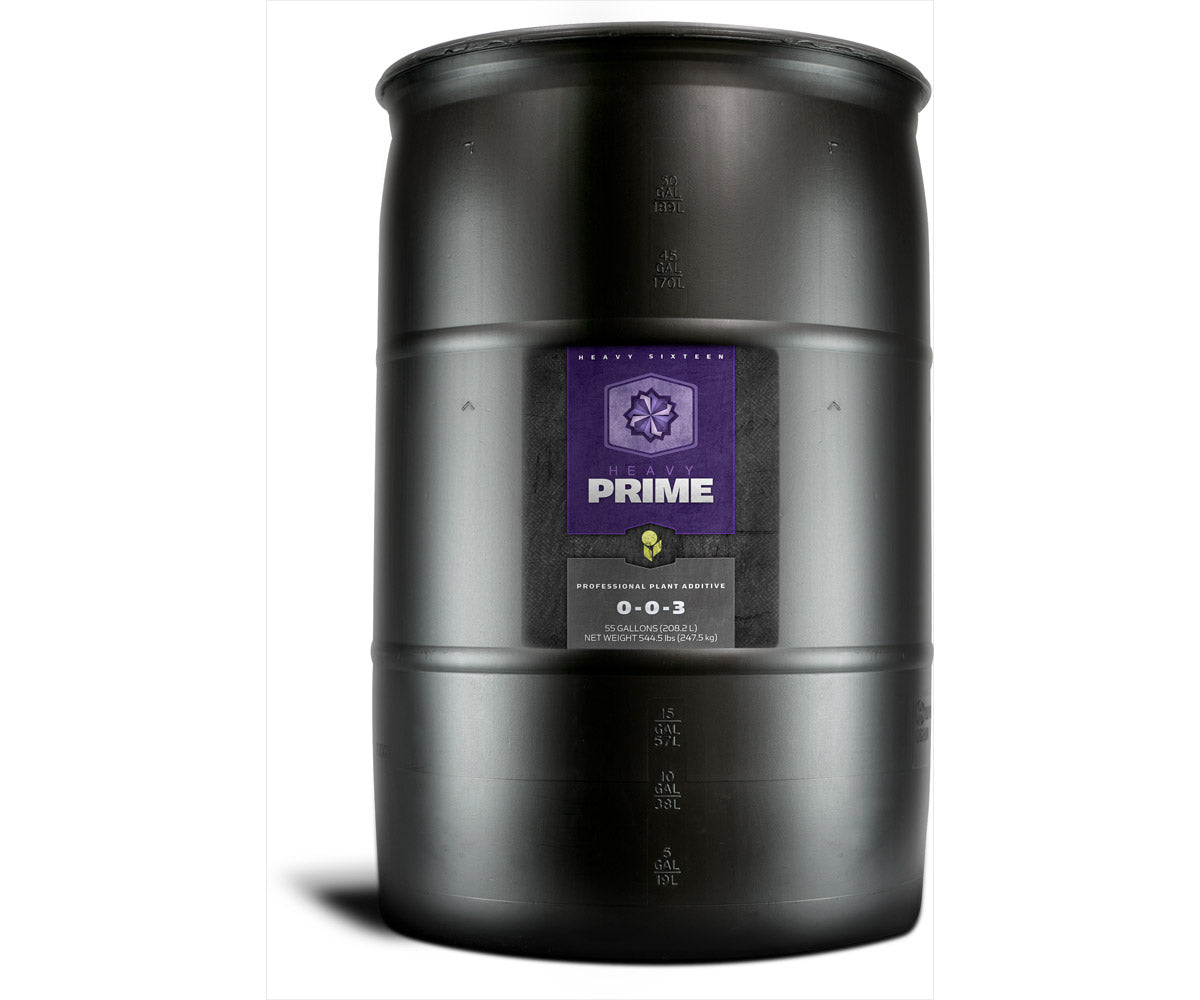 Heavy 16 Prime