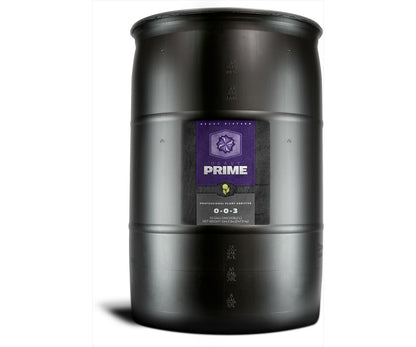 Heavy 16 Prime