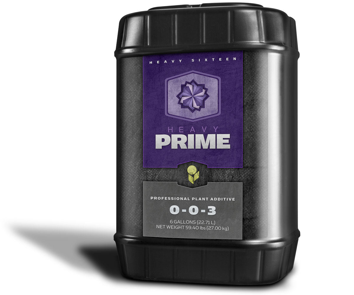 Heavy 16 Prime