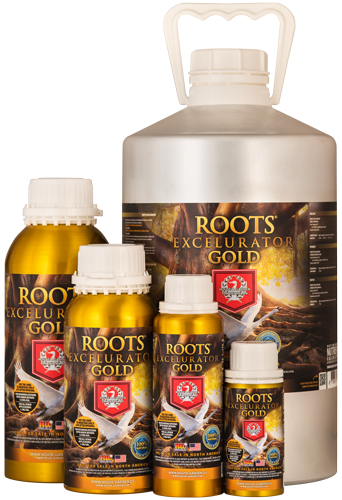 House and Garden Roots Excelurator – Gold 20L