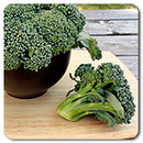 Waltham 29 Broccoli