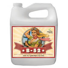 Advanced Nutrients B-52 10L