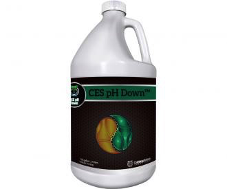 Cutting Edge Solution Ph Down 1 gal