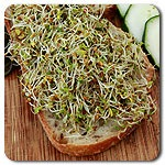 Organic Sandwich Booster Sprout Mix
