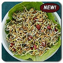 Organic Ancient Eastern Blend Sprouts