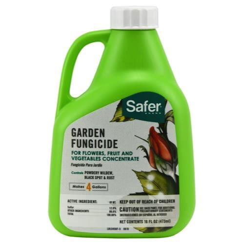 Safer Garden Fungicide Conc. 16 oz