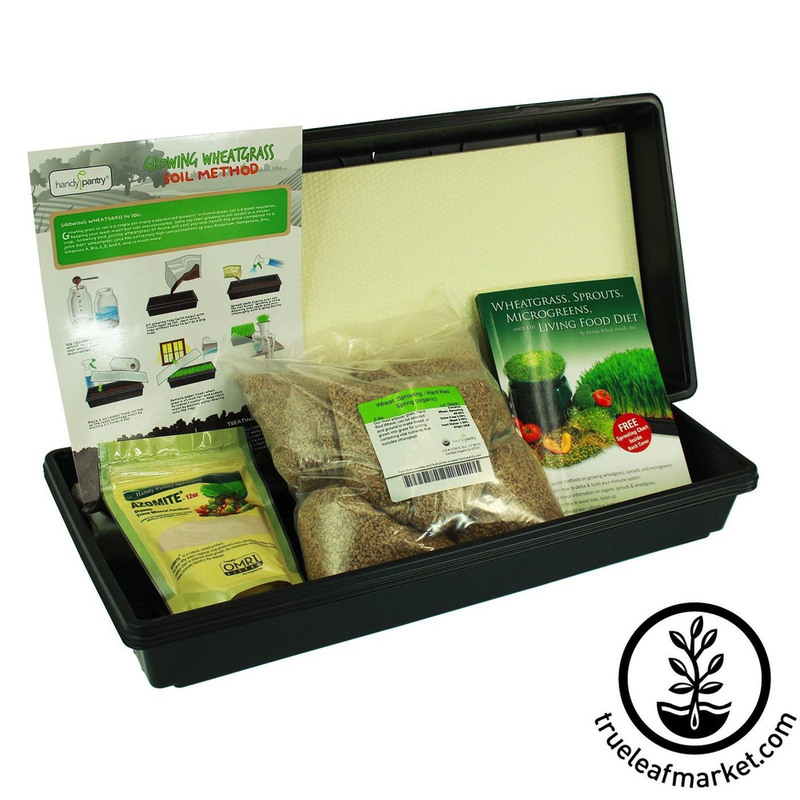 HANDY PANTRY HYDROPONIC WHEATGRASS GROWING KIT