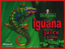 Advanced Nutrients Iguana Juice Bloom Organic Fertilizer, 1-Liter