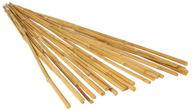 Bamboo 6FT