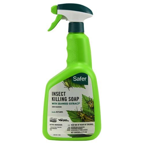 Safer Insect Killing Soap w/ Seaweed Extract II RTU Quart