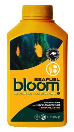 BLOOM SEAFUEL QT