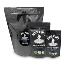 BIG FOOT CONCENTRATE 32OZ