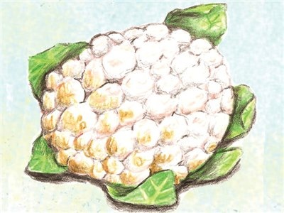 Giant of Naples Cauliflower