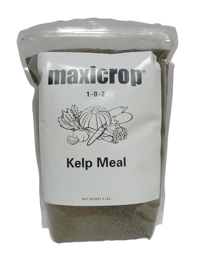 Maxicrop Kelp Meal, 5 lbs