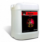 Cutting Edge Bloom 6 Gallon