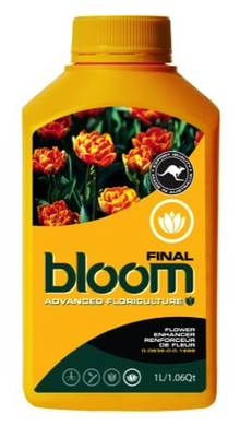 BLOOM FINAL 2.5L