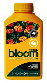 BLOOM FINAL 300ML