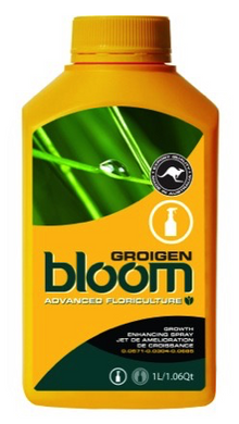 BLOOM GROIGEN 300ML