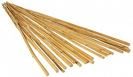 6' BAMBOO STAKE PACK OF 25