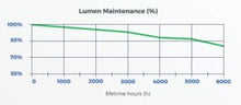 DLI 1000W DE Vegetative Plus