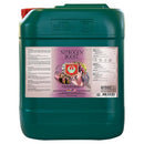 House and Garden Nitrogen Boost 5L