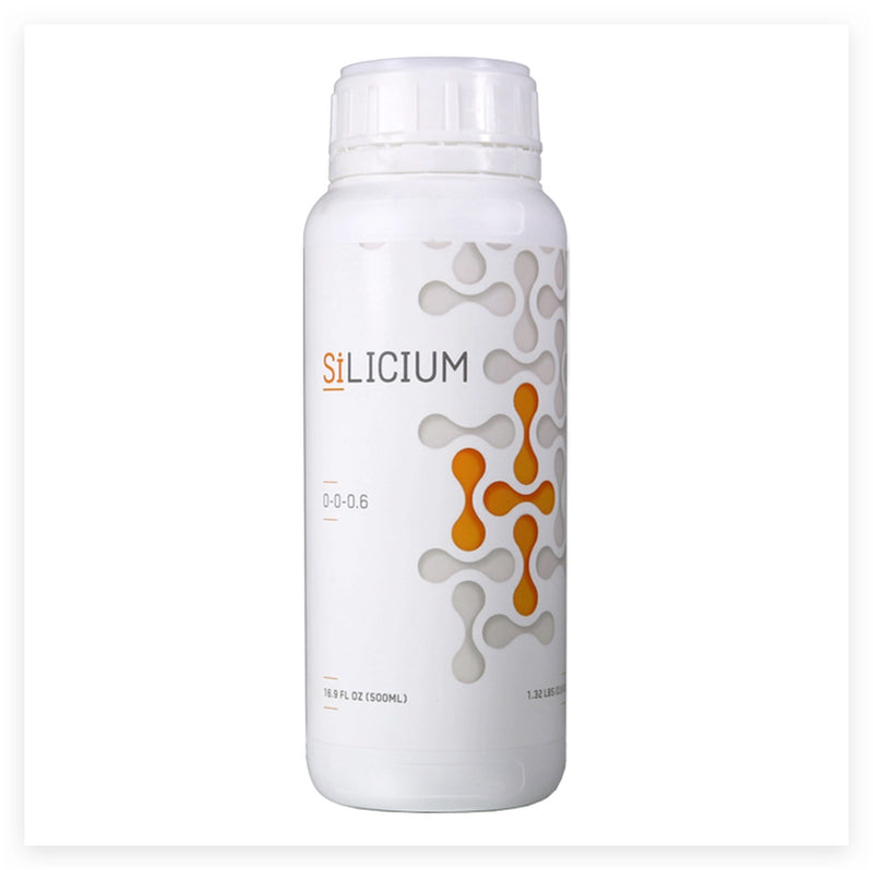 Silicium