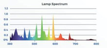 Dutch Lighting Innovations 1000W DE Vegetative Plus